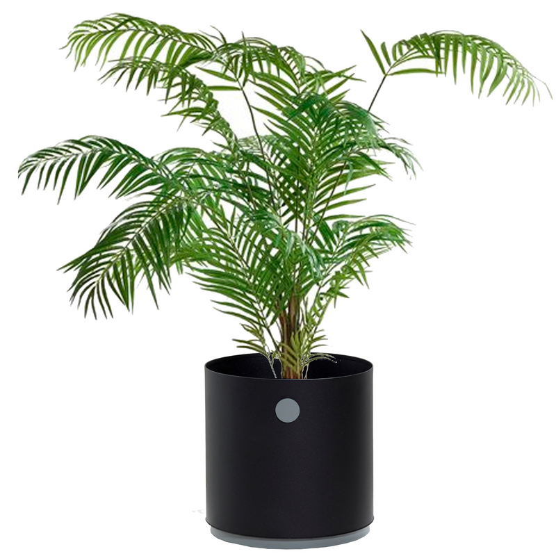 lifestyle image of cane-line grow planter small in Lava Grey/Light Grey, Aluminium with a plant