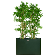 lifestyle image of cane-line grow planter rectangular in Dark Green/Taupe, Aluminium with a plant