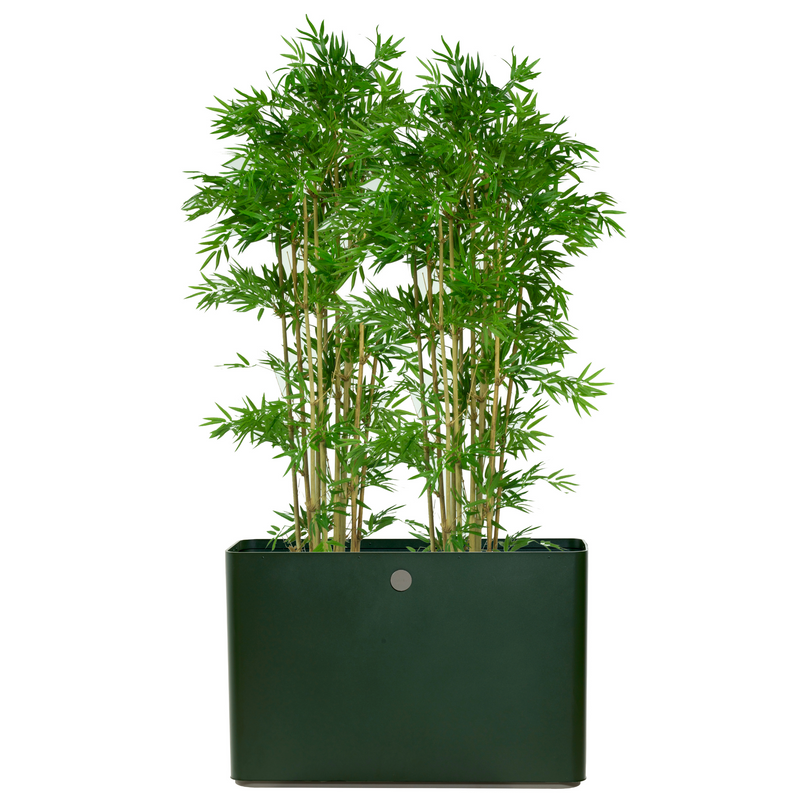 lifestyle image of cane-line grow planter rectangular in Dark Green/Taupe, Aluminium with a plant
