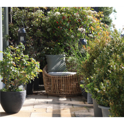 Cane line Nest outdoor round chair Natural Light Grey Natte cushion in a garden lifestyle