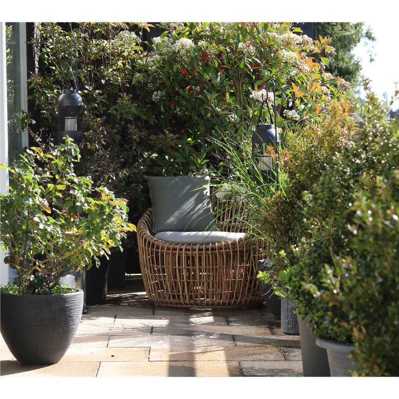 Cane line Nest outdoor round chair Natural Light Grey Natte cushion in a garden lifestyle